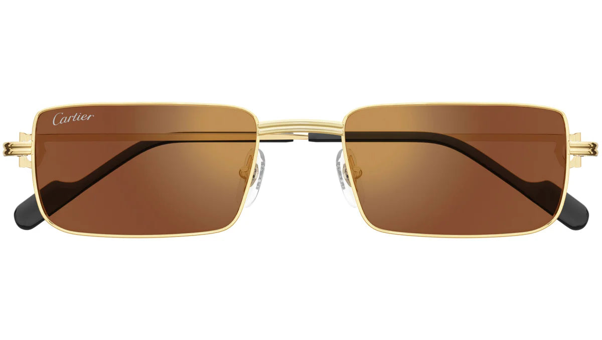 CARTIER - CT0501S 002 Occhiale da sole