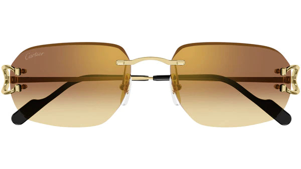 CARTIER - CT0468S 004 Occhiale da sole